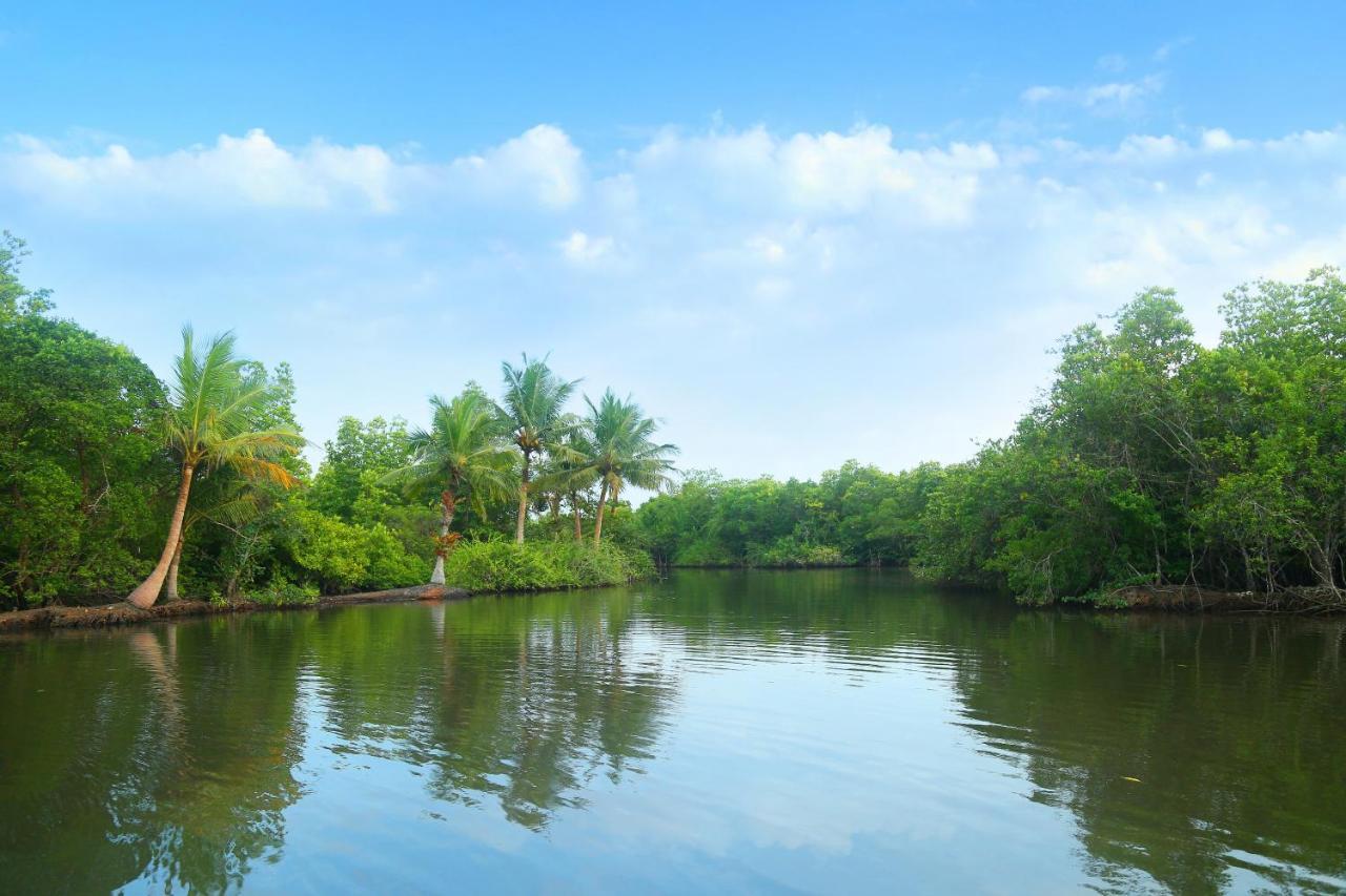Global Lake Villa Hikkaduwa Exterior foto