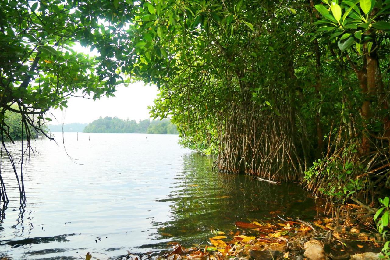 Global Lake Villa Hikkaduwa Exterior foto